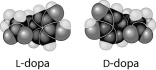<strong> Thalidomide and L-dopa, shown below, are examples of pharmaceutical drugs that occur as enantiomers, or molecules that </strong> A) have identical three-dimensional shapes. B) are mirror images of one another. C) are structural isomers. D) are mirror images of one another and have the same biological activity. E) are cis-trans isomers.
