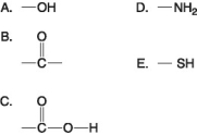 <strong> Which of the groups above is an acidic functional group that can dissociate and release H⁺ into a solution?</strong> A) A B) B C) C D) D E) E