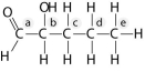 <strong>Answer the following questions based on the figure below. Identify the asymmetric carbon in this molecule.</strong> A) A B) B C) C D) D E) E