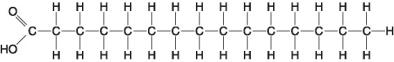 <strong> Figure 5.2 Which of the following statements is true regarding the molecule illustrated in Figure 5.2?</strong> A) It is a saturated fatty acid. B) A diet rich in this molecule may contribute to atherosclerosis. C) Molecules of this type are usually liquid at room temperature. D) It is a saturated fatty acid and a diet rich in this molecule may contribute to atherosclerosis. E) It is a saturated fatty acid, a diet rich in this molecule may contribute to atherosclerosis, and molecules of this type are usually liquid at room temperature.