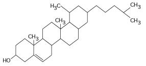 <strong> Figure 5.4 What is the structure shown in Figure 5.4?</strong> A) pentose molecule B) fatty acid molecule C) steroid molecule D) oligosaccharide molecule E) phospholipid molecule