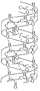    Figure 5.7 -The structure depicted in Figure 5.7 shows the