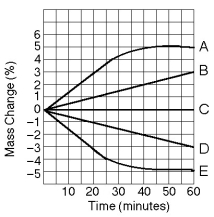 Five dialysis bags, constructed from a semipermeable membrane that is impermeable to sucrose, were filled with various concentrations of sucrose and then placed in separate beakers containing an initial concentration of 0.6 M sucrose solution. At 10-minute intervals, the bags were massed (weighed) and the percent change in mass of each bag was graphed.    -Which line in the graph represents the bag that contained a solution isotonic to the 0.6 M solution at the beginning of the experiment?