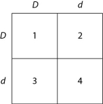 Use Figure 14.1 and the following description to answer the questions below. In a particular plant, leaf color is controlled by gene locus D. Plants with at least one allele D have dark green leaves, and plants with the homozygous recessive dd genotype have light green leaves. A true-breeding dark-leaved plant is crossed with a light-leaved one, and the F₁ offspring is allowed to self-pollinate. The predicted outcome of the F₂ is diagrammed in the Punnett square shown in Figure 14.1, where 1, 2, 3, and 4 represent the genotypes corresponding to each box within the square. Figure 14.1 -Which of the plants will be true-breeding?