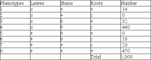 <strong>Use the following information to answer the questions below. A plantlike organism on the planet Pandora can have three recessive genetic traits: bluish leaves, due to an allele (a) of gene A; a feathered stem, due to an allele (b) of gene B; and hollow roots due to an allele (c) of gene C. The three genes are linked and recombine as follows: A geneticist did a testcross with an organism that had been found to be heterozygous for the three recessive traits and she was able to identify progeny of the following phenotypic distribution (+ = wild type): What is the greatest benefit of having used a testcross for this experiment?</strong> A) The homozygous recessive parents are obvious to the naked eye. B) The homozygous parents are the only ones whose crossovers make a difference. C) Progeny can be scored by their phenotypes alone. D) All of the progeny will be heterozygous. E) The homozygous recessive parents will be unable to cross over.