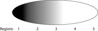 A researcher has arrived at a method to prevent gene expression from Drosophila embryonic genes. The following questions assume that he is using this method. -The researcher measures the concentration of the polypeptides from different regions in the early embryo and finds the following pattern (darker shading = greater concentration): Which of the following would be his most logical assumption?