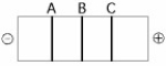 <strong>Use Figure 20.2 to answer the following question.   Figure 20.2 The segment of DNA shown in Figure 20.2 has restriction sites I and II, which create restriction fragments A, B, and C. Which of the gels produced by electrophoresis shown below best represents the separation and identity of these fragments?</strong> A)   B)   C)   D)   E)   <div style=padding-top: 35px> 