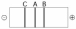 <strong>Use Figure 20.2 to answer the following question.   Figure 20.2 The segment of DNA shown in Figure 20.2 has restriction sites I and II, which create restriction fragments A, B, and C. Which of the gels produced by electrophoresis shown below best represents the separation and identity of these fragments?</strong> A)   B)   C)   D)   E)   <div style=padding-top: 35px> 
