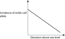 <strong>Anopheles mosquitoes, which carry the malaria parasite, cannot live above elevations of 5,900 feet. In addition, oxygen availability decreases with higher altitude. Consider a hypothetical human population that is adapted to life on the slopes of Mt. Kilimanjaro in Tanzania, a country in equatorial Africa. Mt. Kilimanjaro's base is about 2,600 feet above sea level and its peak is 19,341 feet above sea level. If the incidence of the sickle-cell allele in the population is plotted against altitude (feet above sea level), which of the following distributions is most likely, assuming little migration of people up or down the mountain?</strong> A) B) C) D)