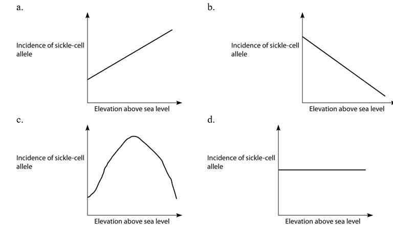 <strong>If global warming permits mosquitoes to live at higher altitudes than they currently do, then in which direction should the entire plot in the correct distribution below be shifted? </strong> A) to the right B) to the left C) upward D) downward