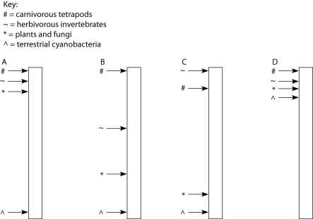 The following questions refer to the paragraph below. A sediment core is removed from the floor of an inland sea. The sea has been in existence, off and on, throughout the entire time that terrestrial life has existed. Researchers wish to locate and study the terrestrial organisms fossilized in this core. The core is illustrated as a vertical column, with the top of the column representing the most recent strata and the bottom representing the time when land was first colonized by life. Figure 25.2 -In order to assign absolute dates to fossils in this sediment core, it would be most helpful if