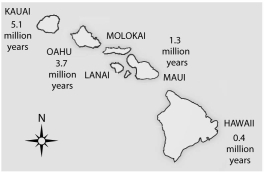 Figure 25.3 -Upon being formed, oceanic islands, such as the Hawaiian Islands, should feature what characteristic, leading to which phenomenon?