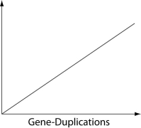 <strong>Which of the following items does not necessarily exist in a simple linear relationship with the number of gene-duplication events when placed as the label on the vertical axis of the following graph? </strong> A) number of genes B) number of DNA base pairs C) genome size D) mass (in picograms) of DNA E) phenotypic complexity