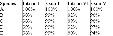 The next questions refer to the following table, which compares the % sequence homology of four different parts (two introns and two exons) of a gene that is found in five different eukaryotic species. Each part is numbered to indicate its distance from the promoter (e.g., Intron I is the one closest to the promoter). The data reported for species A were obtained by comparing DNA from one member of species A to another member of species A. % Sequence Homology    -Regarding these sequence homology data, the principle of maximum parsimony would be applicable in