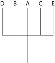 <strong>The next questions refer to the following table, which compares the % sequence homology of four different parts (two introns and two exons) of a gene that is found in five different eukaryotic species. Each part is numbered to indicate its distance from the promoter (e.g., Intron I is the one closest to the promoter). The data reported for species A were obtained by comparing DNA from one member of species A to another member of species A. % Sequence Homology Based on the tabular data, and assuming that time advances vertically, which cladogram (a type of phylogenetic tree)is the most likely depiction of the evolutionary relationships among these five species?</strong> A) B) C) D)
