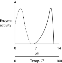 <strong>Consider the thermoacidophile, Sulfolobus acidocaldarius. Which of the following graphs most accurately depicts the expected temperature and pH profiles of its enzymes? (Note: The horizontal axes of these graphs are double, with pH above and temperature below.) </strong> A) B) C) D)