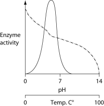 <strong>Consider the thermoacidophile, Sulfolobus acidocaldarius. Which of the following graphs most accurately depicts the expected temperature and pH profiles of its enzymes? (Note: The horizontal axes of these graphs are double, with pH above and temperature below.) </strong> A) B) C) D)
