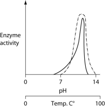<strong>Consider the thermoacidophile, Sulfolobus acidocaldarius. Which of the following graphs most accurately depicts the expected temperature and pH profiles of its enzymes? (Note: The horizontal axes of these graphs are double, with pH above and temperature below.) </strong> A) B) C) D)
