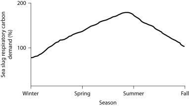 Percent of sea slug respiratory carbon demand provided by indwelling dinoflagellates. -If we assume that carbon is the sole nutrient needed by sea slugs to drive their cellular respiration, then based on the graph, during which season(s)is it least necessary for P. ianthina to act as a chemoheterotroph?