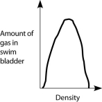<strong>Which graph properly depicts the relationship between the amount of gas in the swim bladder and the density of the fish?</strong> A) B) C) D) E)