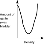 <strong>Which graph properly depicts the relationship between the amount of gas in the swim bladder and the density of the fish?</strong> A) B) C) D) E)