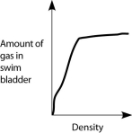 <strong>Which graph properly depicts the relationship between the amount of gas in the swim bladder and the density of the fish?</strong> A) B) C) D) E)