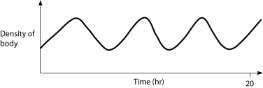 <strong>Which graph below best represents the way that density changes over time in a physoclistus fish and in a physostomus fish, respectively? A) B) C) D)) </strong> A) A and B B) B and A C) B and C D) C and B E) D and B