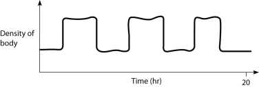 <strong>Which graph below best represents the way that density changes over time in a physoclistus fish and in a physostomus fish, respectively? A) B) C) D)) </strong> A) A and B B) B and A C) B and C D) C and B E) D and B