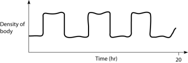 <strong>At 5, 10, and 15 hours in the graph below, which of the following statements should be true? </strong> A) This fish is in the process of adding gas to its swim bladder. B) This fish is in the process of removing gas from its swim bladder. C) This fish has a swim bladder that is relatively full of gas. D) This fish has a swim bladder that contains relatively little gas.