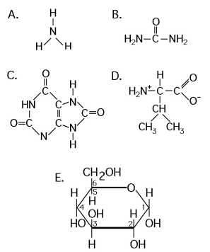 <strong>Use the following structural formulas to identify the following items. Which of the following is excreted readily by aquatic animals because of its high solubility in the respiratory medium?</strong> A) A B) B C) C D) D E) E
