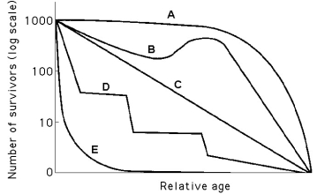 Use the survivorship curves in Figure 53.1 to answer the following questions. Figure 53.1 -Which curve best describes survivorship in humans who live in undeveloped nations?
