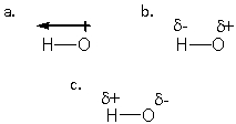 <strong>Which structure BEST describes the polarity of an H-O bond? </strong> A) a B) b C) c