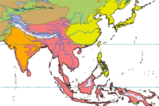 <strong>In the map below, pink represents </strong> A)subtropical scrub and woodland. B)desert. C)rain forest. D)grassland.