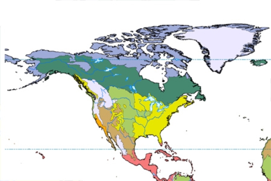 <strong>In the map below, lavender represents </strong> A)temperate forest. B)tundra. C)boreal forest. D)grassland.