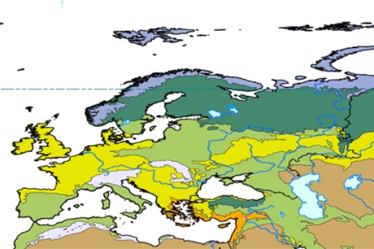 <strong>Which of the following is true about biomes in general? </strong> A)Because evolution occurs over millions of years, the boundaries between biomes can be considered to be static over our lifetimes. B)Biome boundaries are abrupt, with very distinct differences in appearance from one side of the line to another. C)Biogeographers disagree on how many biomes there are, and which types of landscapes should be considered part of the same biome. D)Biomes only exist over land areas.