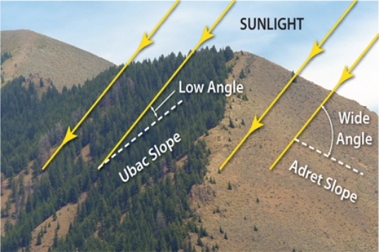 <strong>If the diagram below is in the Northern Hemisphere outside of the tropics, the left side of the diagram is </strong> A)north. B)south. C)east. D)west.