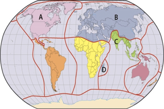 <strong>In which region in the map below are fauna similar even across islands because the areas within that region were once together as part of Gondwana? </strong> A)A B)B C)C D)D