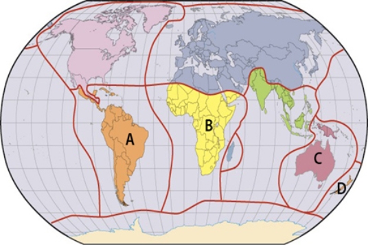 <strong>Which of the labels in the map below is where the Neotropic realm contains unique mammals and colorful birds? </strong> A)A B)B C)C D)D