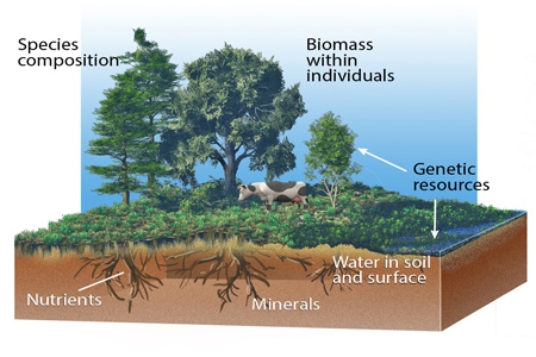 The diagram below shows that  