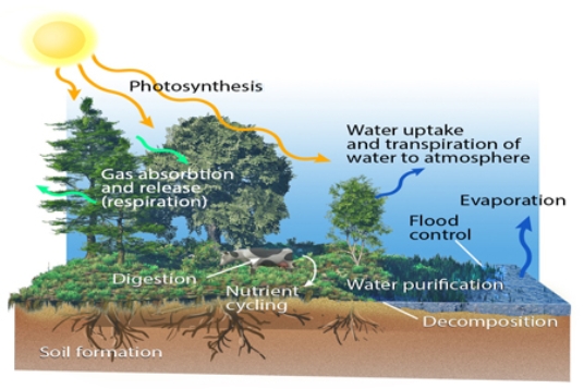 The diagram below reminds us that  