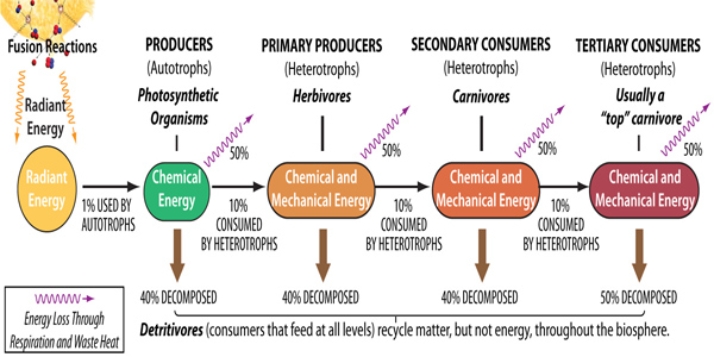 In the diagram below, the first law of thermodynamics is responsible for the processes depicted by