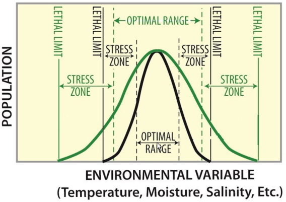 In the diagram below the steno species is represented by the