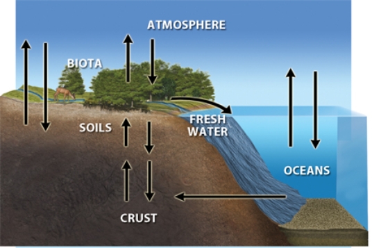 The diagram below conveys the idea that  