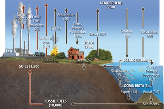 The diagram below depicts the global  
