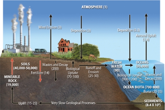 The diagram below depicts the  