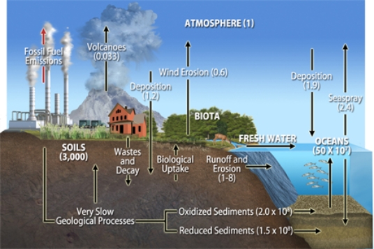 The diagram below shows that most of the reservoir and flux of the biogeochemical cycle called the sulfur cycle takes place in the lithosphere, so it is termed a(n)