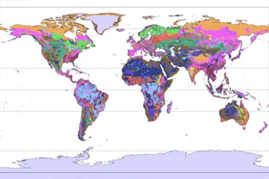 <strong>In the world map below the color that represents soils that swell and shrink excessively is </strong> A)pink. B)light green. C)medium blue. D)purple.