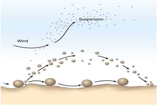 <strong>The wind erosion processes shown at A and B in the diagram below are </strong> A)suspension and saltation. B)saltation and creep. C)drifting and abrasion. D)ablation and plucking.