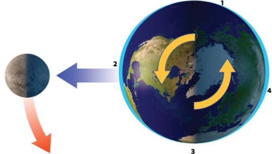 <strong>With the Moon in this position, which area will experience low tide? </strong> A)1 B)2 C)3 D)1 and 3 E)2 and 4