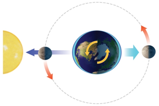 <strong>With the Sun and Moon in this position, the side of the Earth facing the moon experiences </strong> A)a normal high tide. B)a normal low tide. C)a spring tide. D)a neap tide.